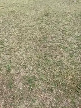 Snapshot of Tamilpaiyan07 chatting on 02/01/26, 03:49 Tamilpaiyan07 online show from 02/01/26, 03:49