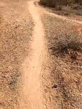 Snapshot of Tamilpaiyan07 chatting on 02/08/26, 05:55 Tamilpaiyan07 online show from 02/08/26, 05:55