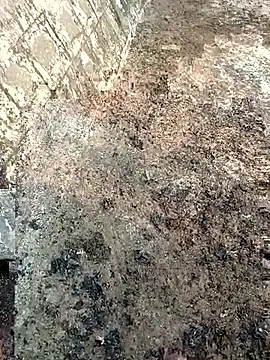 Tamilpaiyan07 online show from 03/08/26, 02:04