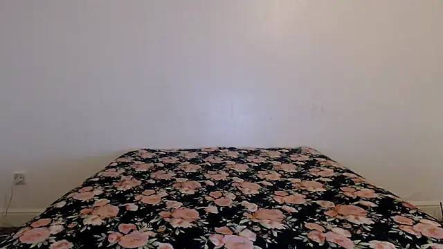 Stella John online show from 02/01/26, 07:18