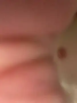 heath82841 online show from 02/11/26, 11:48