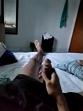 Novinhoie online show from 01/05/26, 08:56