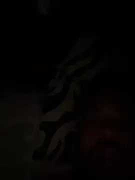 paco199923 online show from 02/04/26, 09:15