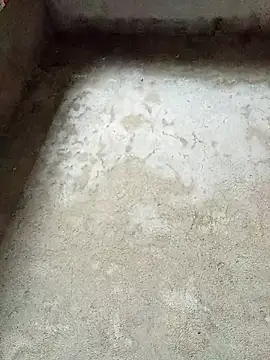 dakota-kis online show from 02/04/26, 11:53