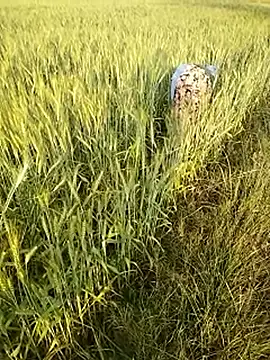 hornycouple20000 online show from 02/21/26, 11:55