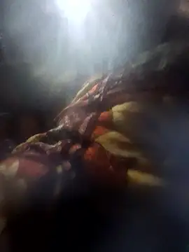 Couples9090 online show from 01/10/26, 03:58