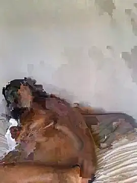 Snapshot of babepear chatting on 02/25/26, 06:34 babepear online show from 02/25/26, 06:34