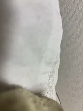 maonyan6 online show from 02/13/26, 09:27