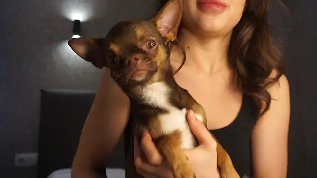 linclars online show from 03/06/26, 01:40