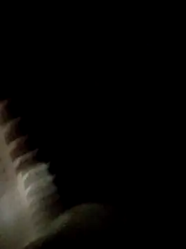 Fefe2805 online show from 04/01/26, 02:12