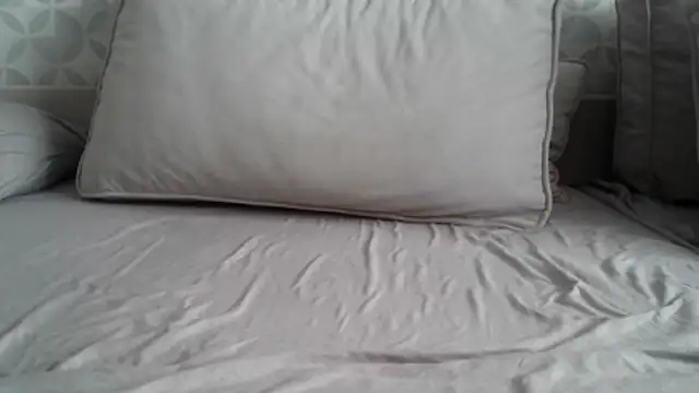 Snapshot of apollo81 chatting on 02/18/26, 09:49 apollo81 online show from 02/18/26, 09:49