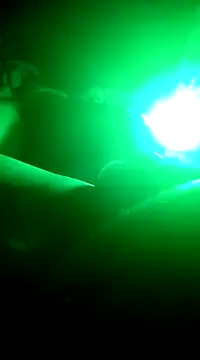 Snapshot of Robikabig20 chatting on 01/09/25, 03:58 Robikabig20 online show from 01/09/25, 03:58