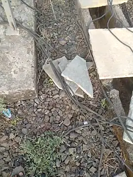 sexyboy 917 online show from 04/01/26, 02:01