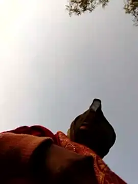 Jyoti sekh online show from 02/10/26, 02:04