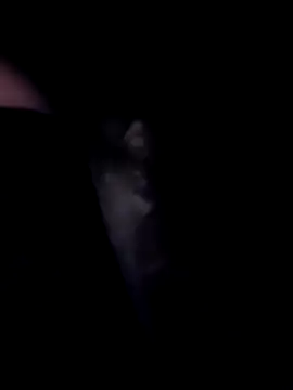 SweetTastes online show from 02/21/26, 12:39