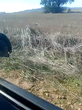 GanaderoMorboso online show from 02/14/26, 12:02