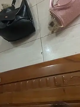 Snapshot of Liness101 chatting on 02/04/26, 12:05 Liness101 online show from 02/04/26, 12:05