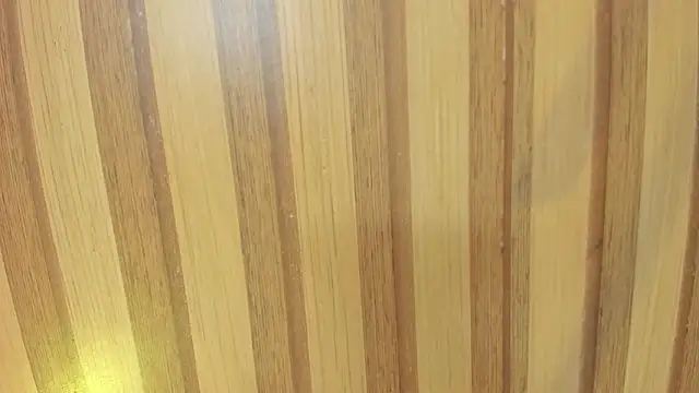 emily velvet   online show from 03/30/26, 06:09