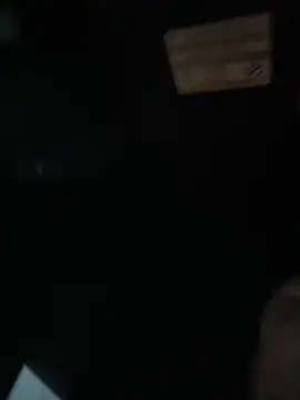 WIDBIGWHITECOCK online show from 03/10/26, 10:59