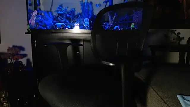 EspanolVato online show from 01/10/26, 10:50