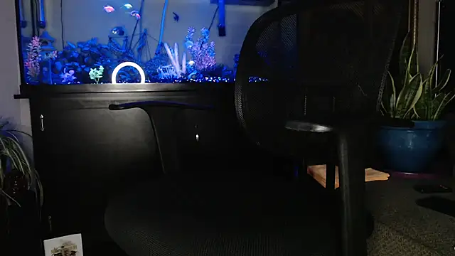 EspanolVato online show from 05/06/26, 09:36