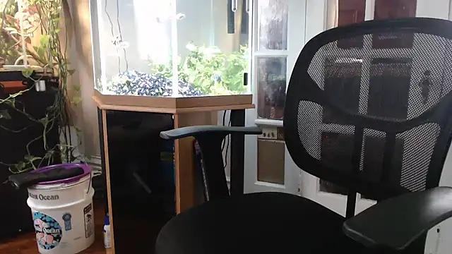 EspanolVato online show from 05/21/26, 11:12