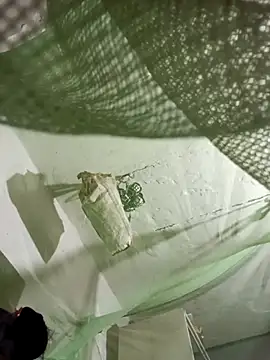 Snapshot of Jan_692 chatting on 02/17/26, 02:57 Jan 692 online show from 02/17/26, 02:57