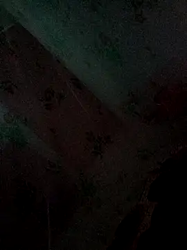 Snapshot of Monisha9876 chatting on 01/14/26, 04:34 Monisha9876 online show from 01/14/26, 04:34