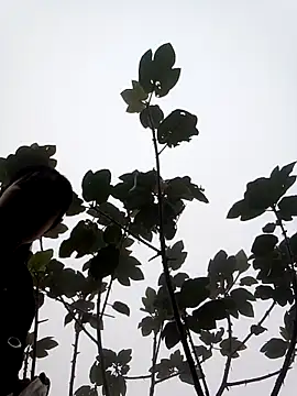 him220 online show from 03/07/26, 02:08