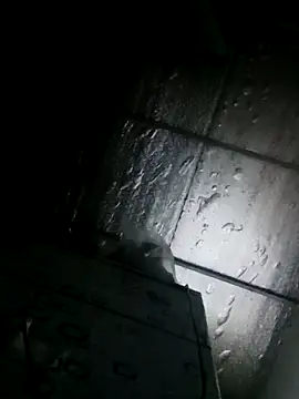 Sana-vn online show from 03/24/26, 11:43