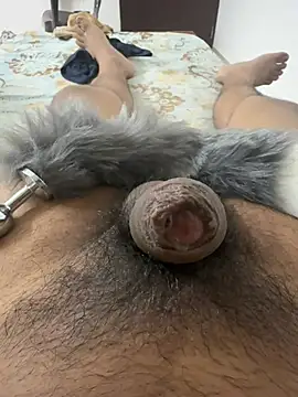 Indian slave dog online show from 01/10/26, 07:15