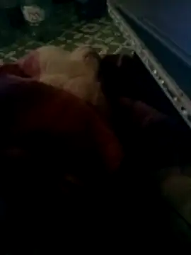 thich lo online show from 03/15/26, 04:35