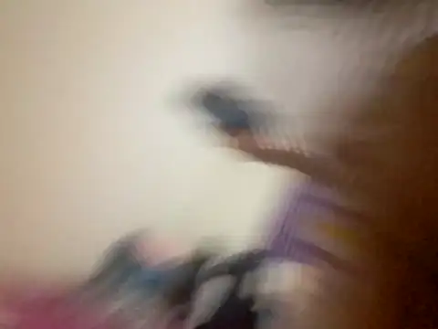 kitty pi online show from 03/29/26, 02:55