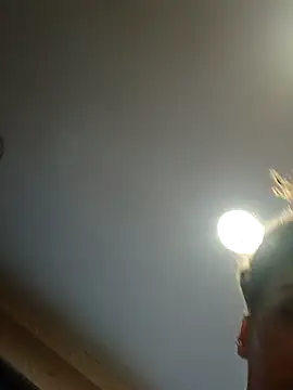 dear2002 online show from 01/17/26, 06:18