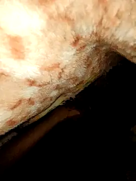 rohit16770 online show from 01/18/26, 07:06