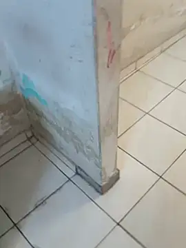     gozada---- online show from 01/08/26, 06:43