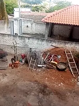     gozada---- online show from 01/13/26, 11:04