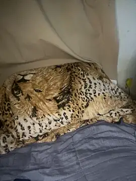 magneto01 online show from 04/05/26, 02:09