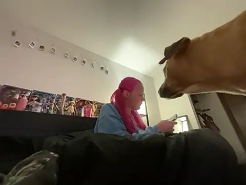 Snapshot of prettygirltracy_12 chatting on 02/17/26, 08:11 prettygirltracy 12 online show from 02/17/26, 08:11