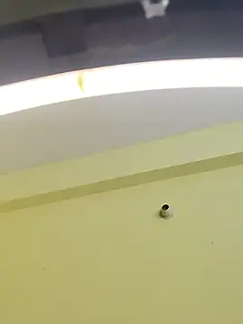 trinasa online show from 01/09/26, 08:10