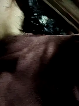 yu--yo online show from 03/21/26, 03:44