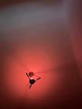 Snapshot of witchdub chatting on 02/18/26, 04:47 witchdub online show from 02/18/26, 04:47