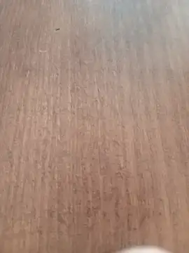 Kmali5465 online show from 02/11/26, 05:07