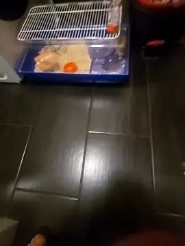 81czacha8107 online show from 03/27/26, 10:42