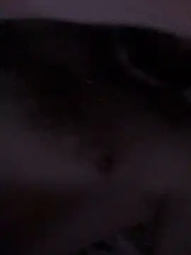 Di717 online show from 03/23/26, 09:30