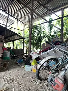 Ginny 2x online show from 01/18/26, 04:27