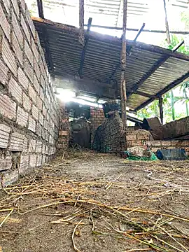 Ginny 2x online show from 02/15/26, 09:41