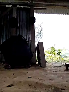 Ginny 2x online show from 03/16/26, 04:07