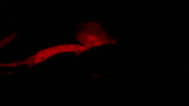 Snapshot of twink_gabrielll chatting on 01/12/26, 02:28 twink gabrielll online show from 01/12/26, 02:28