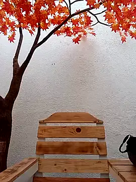 Dante Knox online show from 02/15/26, 11:52